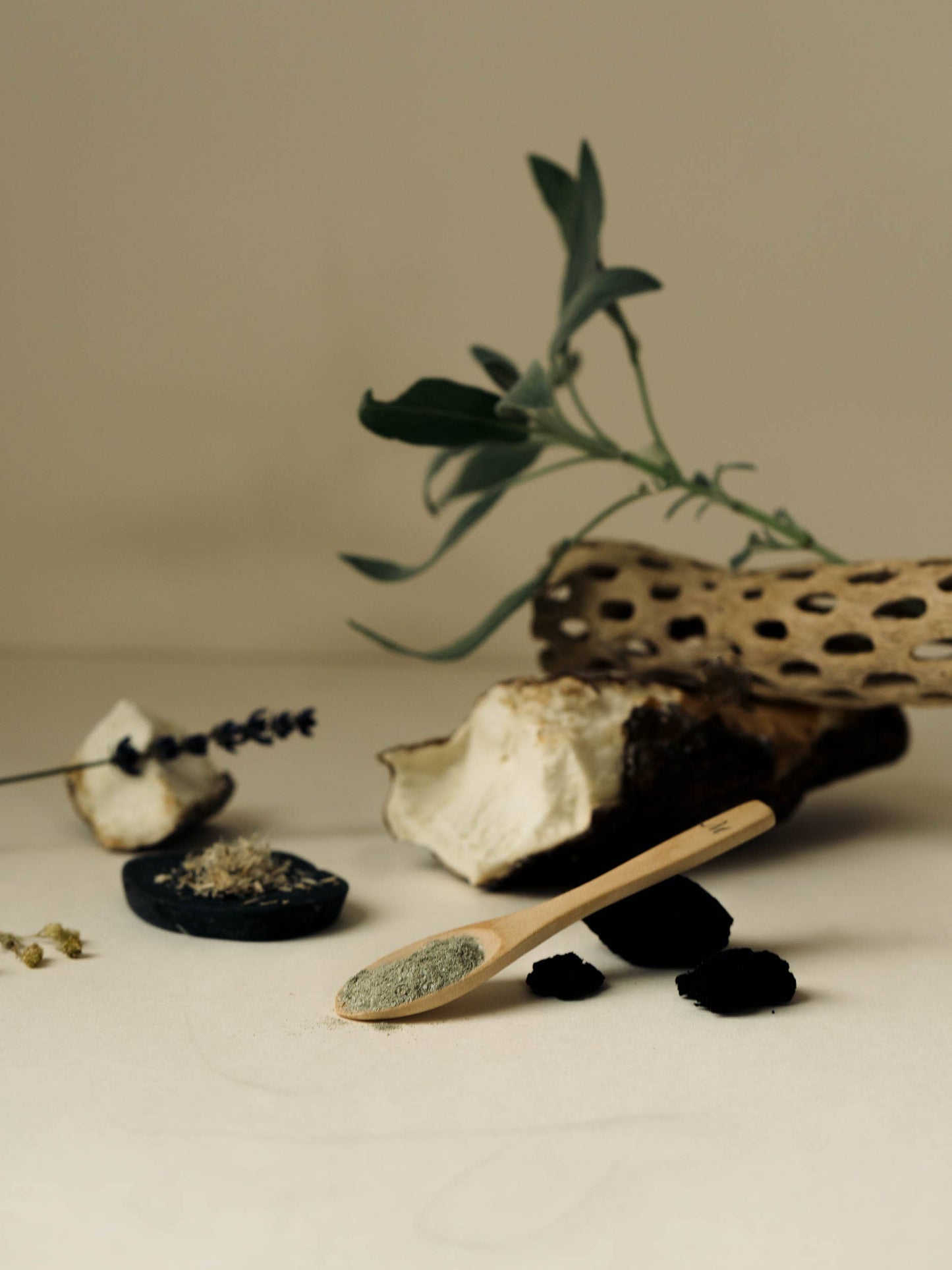 Mushroom Madness Facial Mask