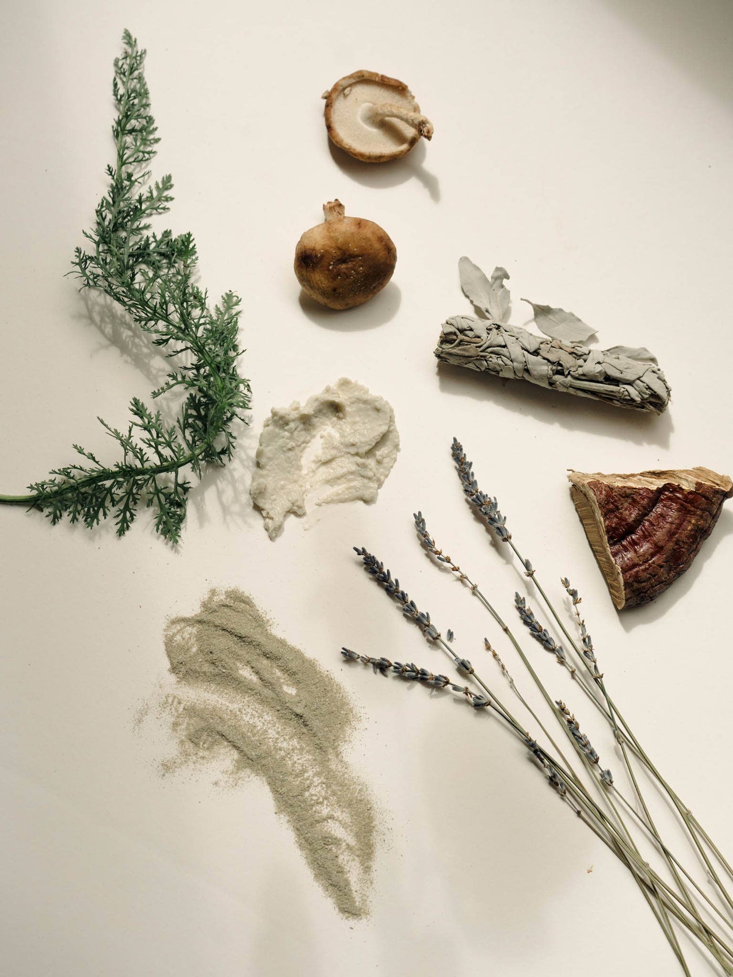 Mushroom Madness Facial Mask